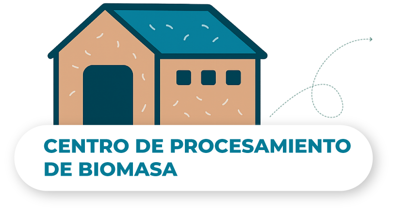Comerciante-5